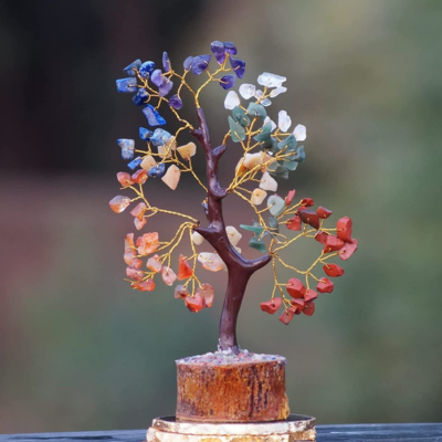Gemstone Bonsai Plant